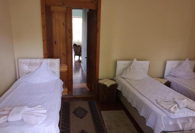 اتاق استاندارد سه نفره, Shorena's House