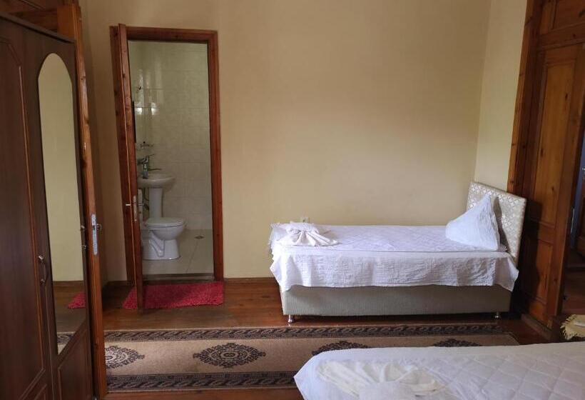 اتاق استاندارد سه نفره, Shorena's House