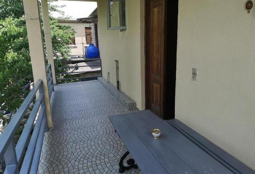 اتاق استاندارد سه نفره, Shorena's House