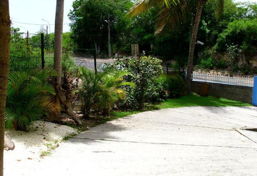 استودیوی استاندارد, Studio Des Iles