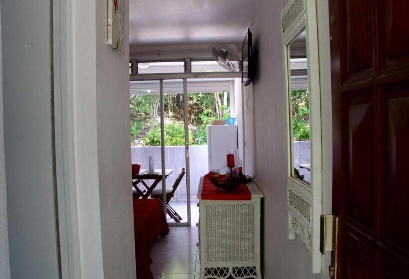 استودیوی استاندارد, Studio Des Iles