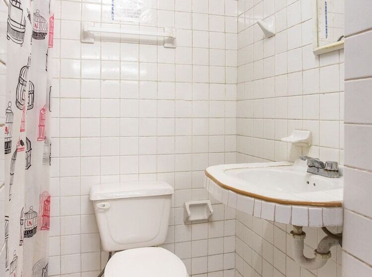 스탠다드 룸, Margarita