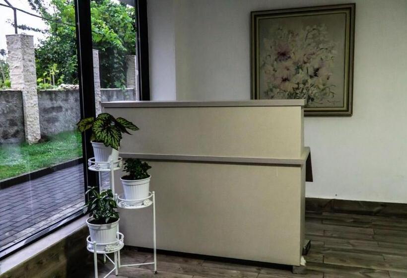 اتاق استاندارد با چشم‌انداز کوهستان, New House Kobuleti