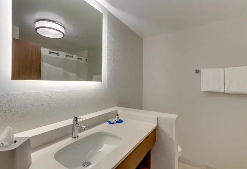 スイート, Holiday Inn Express & Suites   Roanoke – Civic Center