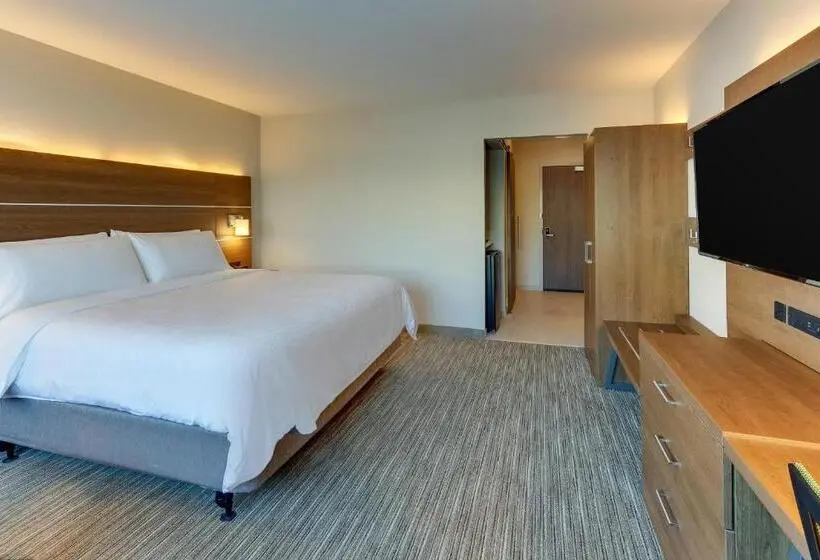 キングサイズベッドのスイートルーム, Holiday Inn Express & Suites   Roanoke – Civic Center