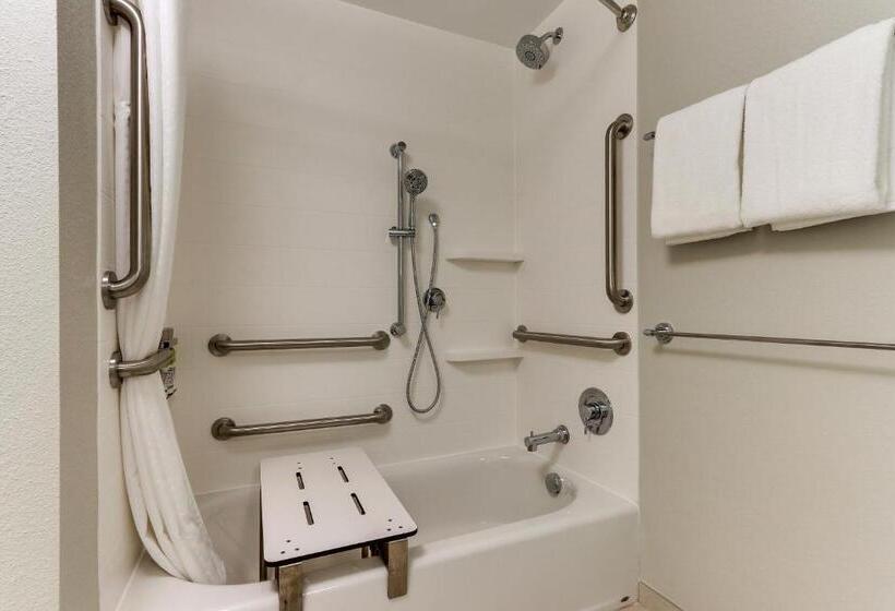 스위트 킹사이즈 침대, Holiday Inn Express & Suites Roanoke – Civic Center