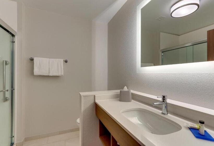 带大床的套房, Holiday Inn Express & Suites   Roanoke – Civic Center