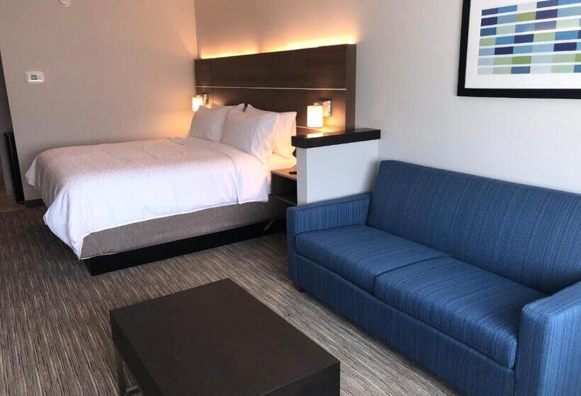 스위트 킹사이즈 침대, Holiday Inn Express & Suites Roanoke – Civic Center