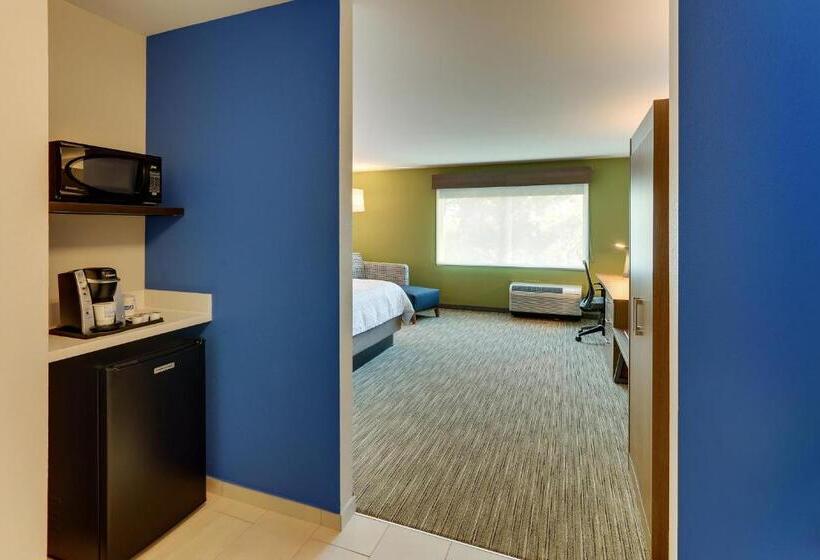 스탠다드 룸 킹사이즈 침대, Holiday Inn Express & Suites Roanoke – Civic Center