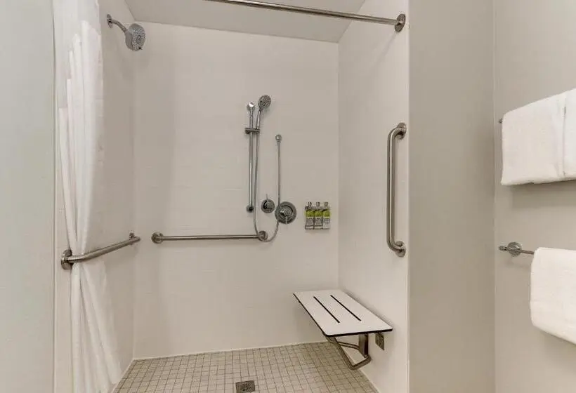 身障者適用スタンダードルーム, Holiday Inn Express & Suites   Roanoke – Civic Center