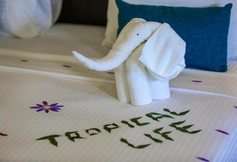 豪华单人间, Tropical Life Resort And Spa