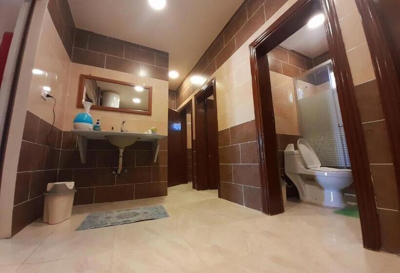 تختخواب در اتاق مشترک, Petra Cabin Inn Hostel&resturant