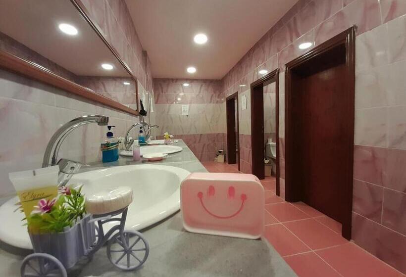 تختخواب در اتاق مشترک, Petra Cabin Inn Hostel&resturant