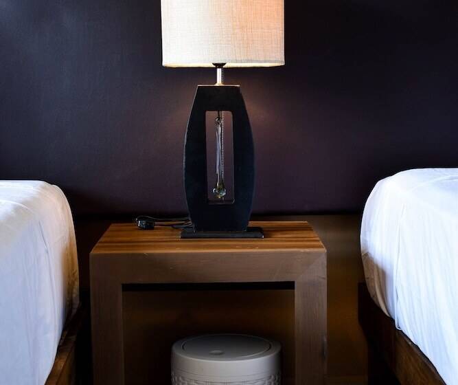 דירת דלוקס 2 חדרי שינה, Muchin