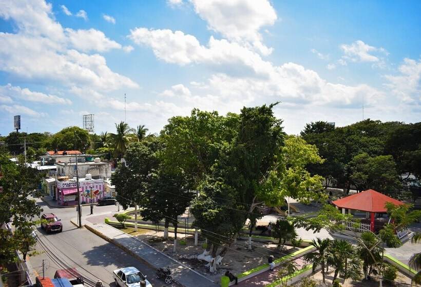 חדר קומפורט, Muchin