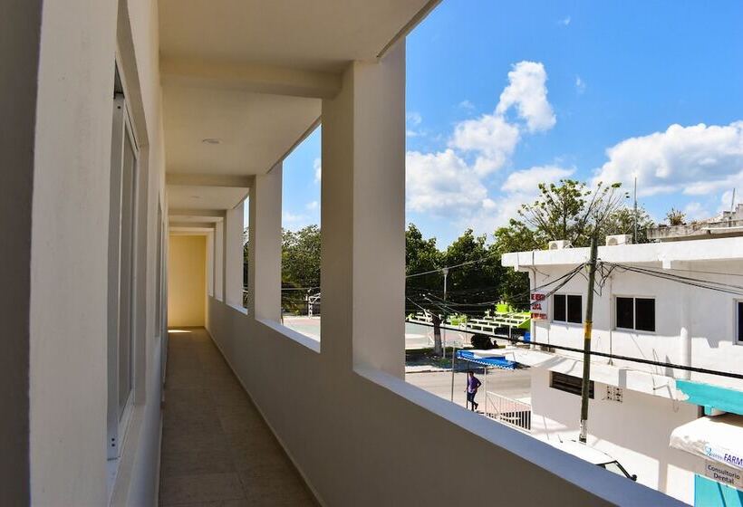 דירת שני חדרים, Muchin