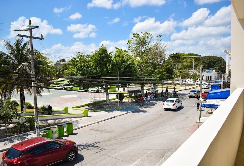 דירת שני חדרים, Muchin