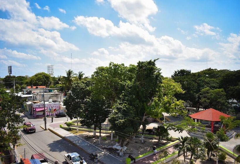 דירת שני חדרים, Muchin