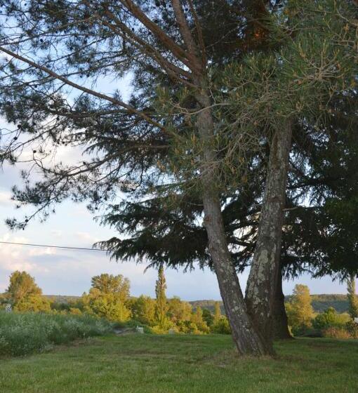 חדר דלוקס, Les Loups Dans La Bergerie