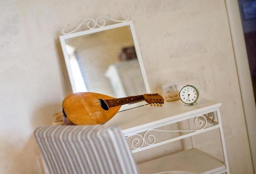استودیوی استاندارد, Casa Del Sole