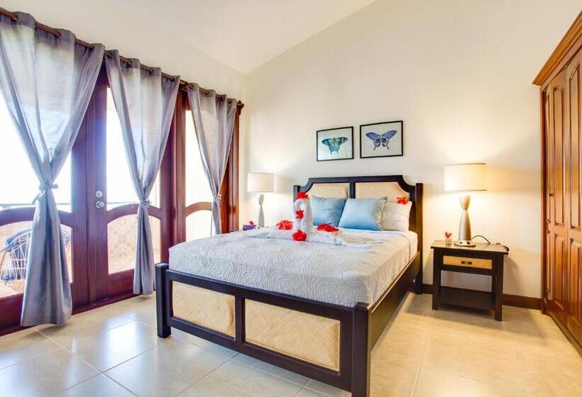 آپارتمان لوکس 1 خوابه, Seiri Del Mar