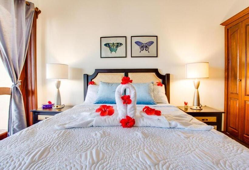 آپارتمان لوکس 1 خوابه, Seiri Del Mar