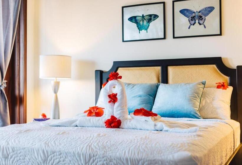 آپارتمان لوکس 1 خوابه, Seiri Del Mar