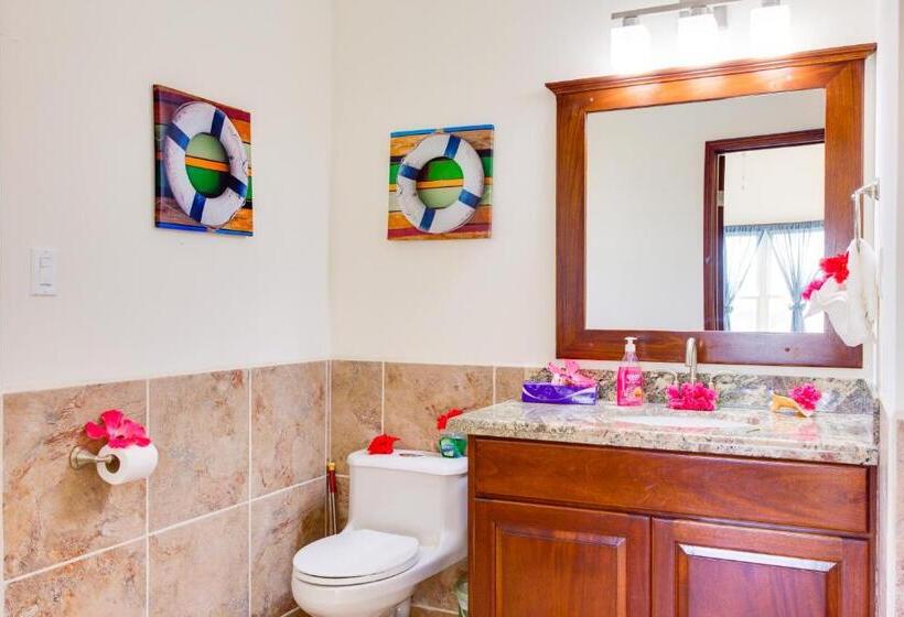 آپارتمان لوکس 1 خوابه, Seiri Del Mar