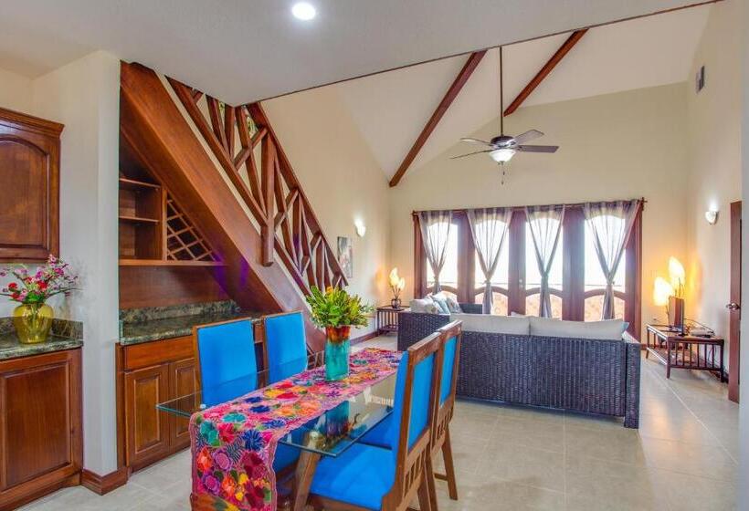 آپارتمان لوکس 1 خوابه, Seiri Del Mar