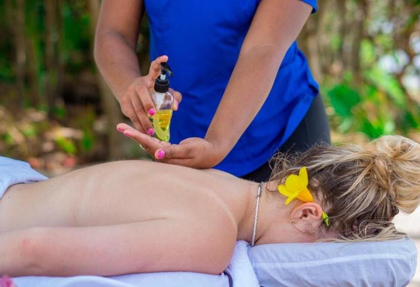 آپارتمان لوکس 1 خوابه, Seiri Del Mar