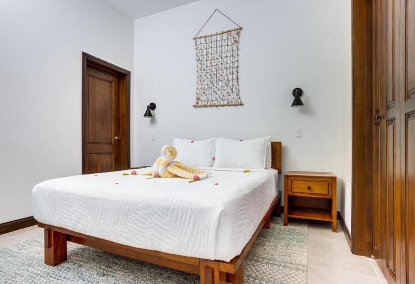 ویلای 1 خوابه, Seiri Del Mar