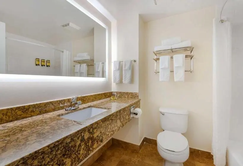اتاق استاندارد با تخت بزرگ برای معلولان, Best Western Plus Universal Inn - Free Shuttle to Universal Studios!
