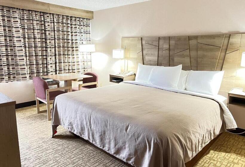 带大床的标准间, Viking Arms Inn  Ludington
