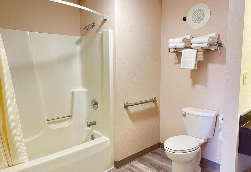 带大床的标准间, Viking Arms Inn  Ludington