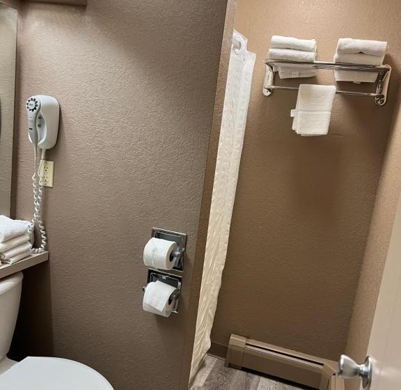 标准间, Viking Arms Inn  Ludington