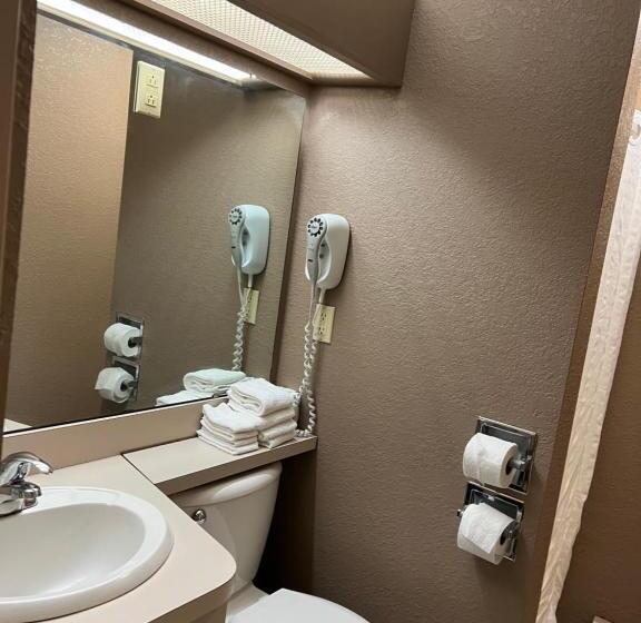 Номер Стандарт, Viking Arms Inn  Ludington