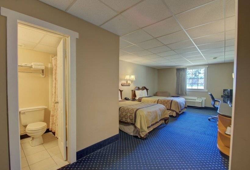 غرفه قياسيه سريرين مزدوجين, Village Inn