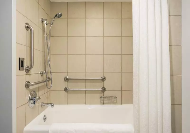 اتاق استاندارد با تخت بزرگ برای معلولان, W Seattle