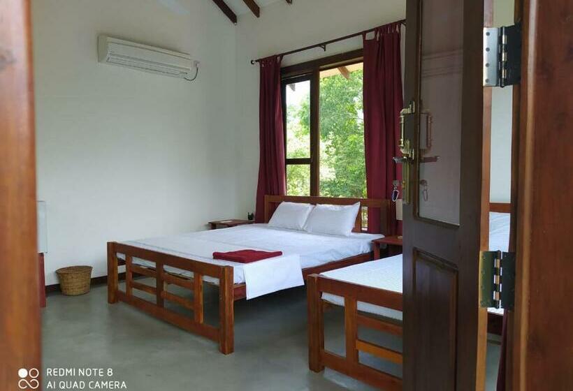 غرفة إقتصادية, Sky Forest