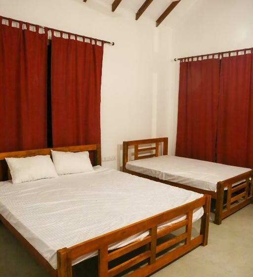 غرفة إقتصادية, Sky Forest