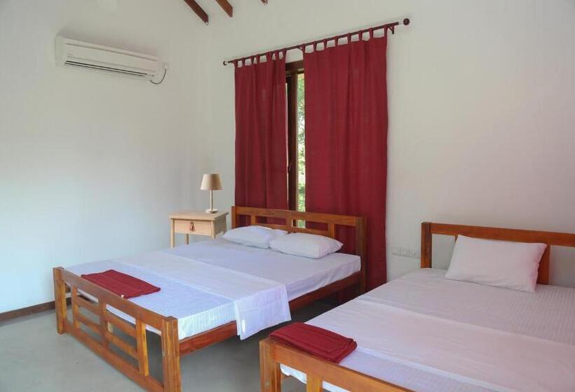 غرفة إقتصادية, Sky Forest