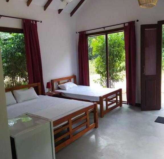 غرفة إقتصادية ثلاثية, Sky Forest