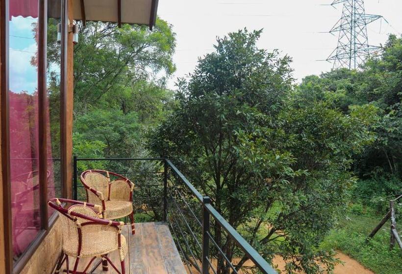 غرفة إقتصادية ثلاثية, Sky Forest