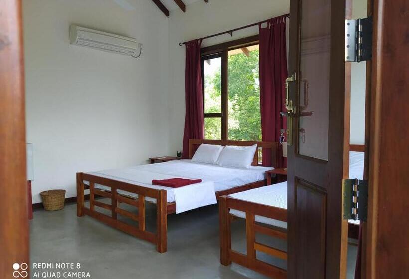 Economy Triple Room, Sky Forest