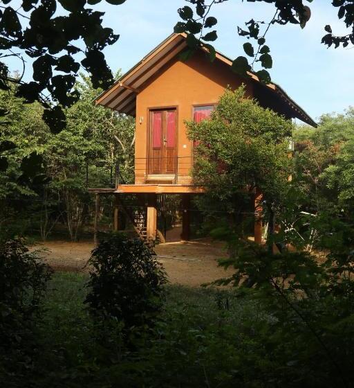 اتاق لوکس با بالکن, Sky Forest