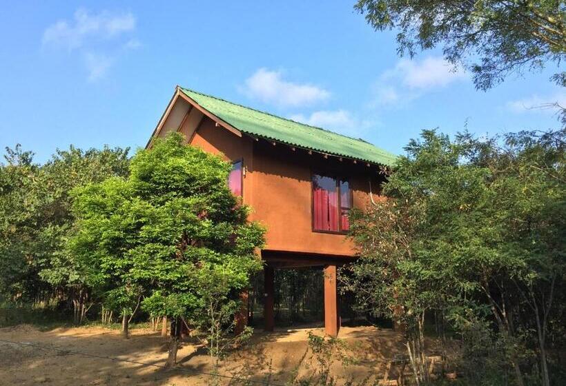 Номер Deluxe с Балконом, Sky Forest