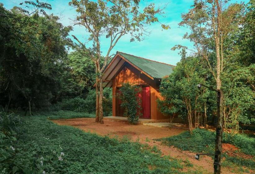 غرفة إقتصادية ثلاثية, Sky Forest