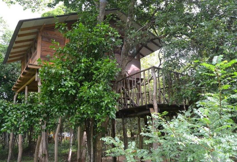 اتاق اکونومی, Sky Forest