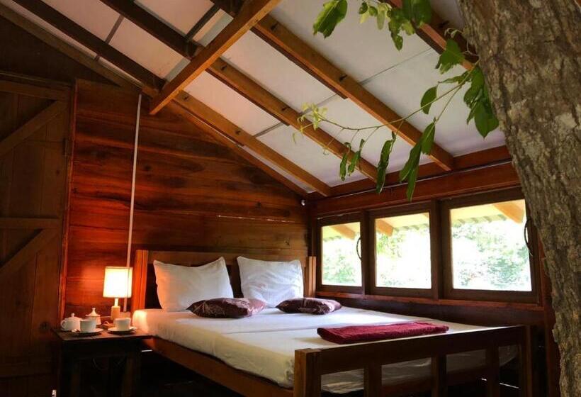 غرفة إقتصادية, Sky Forest