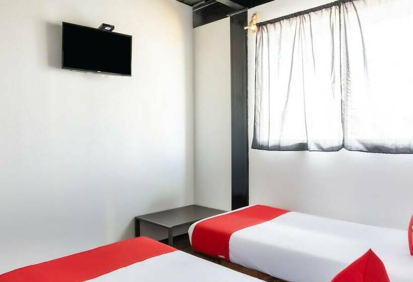 스탠다드 룸, Box Park